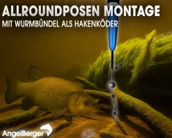 Angel Berger Allround Posen Set Posenmontage Ready2Fish Angelset Allround  Angelsets