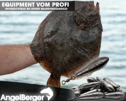 Angel Berger Brandungsblei Set 100g 5 Stück Meeresblei Angelblei Brandungsangeln Blei Meeresangeln Dorschangeln