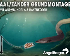 Angel Berger Tele Angelset Aal Zander Grundmontage Rute Rolle mit Angelzubehör Ready2Fish Fishing Set Eel Pike Perch Wurm Dead Bait Grundangel Aalangeln Zanderangeln Angelsets