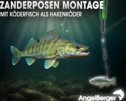 Angel Berger Tele Angelset Zander Rute Rolle mit Zubehör Angelsets
