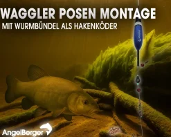 Angel Berger Tele Angelset Waggler Posen Set Posenmontage Ready2Fish Angelpose Fishing Float Set Posenset Angeln Angelsets