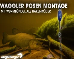 Angel Berger Waggler Posen Set Posenmontage Ready2Fish Angelpose Angelset Fishing Float Posenset Angelsets