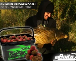 Magic Baits 4 Kg Premium Boilies mit Eimer Carp Baits with Bucket Futterboilies Karpfenboilies Feeder Boilie Boilieset Karpfenköder Carp Baits Angelköder Karpfenangeln Futtermittel