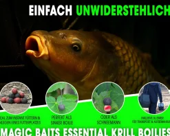 Magic Baits 4 Kg Premium Boilies mit Eimer Carp Baits with Bucket Futterboilies Karpfenboilies Feeder Boilie Boilieset Karpfenköder Carp Baits Angelköder Karpfenangeln Futtermittel