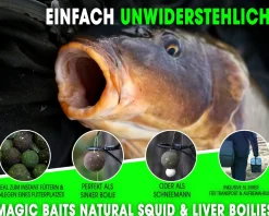 Magic Baits 4 Kg Premium Boilies mit Eimer Carp Baits with Bucket Futterboilies Karpfenboilies Feeder Boilie Boilieset Karpfenköder Carp Baits Angelköder Karpfenangeln Futtermittel