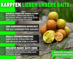 Magic Baits 4 Kg Premium Boilies mit Eimer Carp Baits with Bucket Futterboilies Karpfenboilies Feeder Boilie Boilieset Karpfenköder Carp Baits Angelköder Karpfenangeln Futtermittel