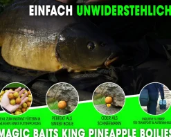 Magic Baits 4 Kg Premium Boilies mit Eimer Carp Baits with Bucket Futterboilies Karpfenboilies Feeder Boilie Boilieset Karpfenköder Carp Baits Angelköder Karpfenangeln Futtermittel