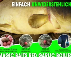 Magic Baits 4 Kg Premium Boilies mit Eimer Carp Baits with Bucket Futterboilies Karpfenboilies Feeder Boilie Boilieset Karpfenköder Carp Baits Angelköder Karpfenangeln Futtermittel