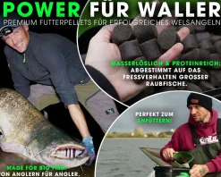 Magic Baits 4 Kg Wels Pellets mit Eimer Catfish Pellets Giant Halibut Pellet Wallerpellets Welsköder Waller Angeln Futtermittel