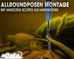 Magic Baits Angelteig Scopex Hook Paste sinkend Angelköder Karpfenteig  Futtermittel