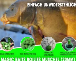 Magic Baits Boilies 1 Kg Magic Boilie Karpfenköder Carp Baits Futterboilie Feederboilies Angelköder Karpfen Angeln Futtermittel