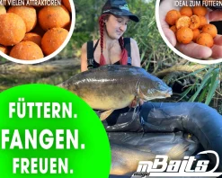 Magic Baits Boilies 1 Kg Magic Boilie Karpfenköder Carp Baits Futterboilie Feederboilies Angelköder Karpfen Angeln Futtermittel