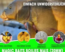Magic Baits Boilies 1 Kg Magic Boilie Karpfenköder Carp Baits Futterboilie Feederboilies Angelköder Karpfen Angeln Futtermittel