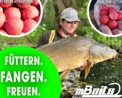 Magic Baits Boilies 1 Kg Magic Boilie Karpfenköder Carp Baits Futterboilie Feederboilies Angelköder Karpfen Angeln Futtermittel