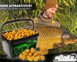 Magic Baits Boilies im Eimer 4 kg alle Sorten Futterboilies Karpfenboilies Boilieset Karpfenköder Futtermittel