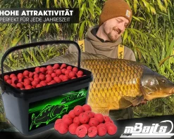 Magic Baits Boilies im Eimer 4 kg alle Sorten Futterboilies Karpfenboilies Boilieset Karpfenköder Futtermittel
