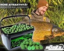 Magic Baits Boilies im Eimer 4 kg alle Sorten Futterboilies Karpfenboilies Boilieset Karpfenköder Futtermittel