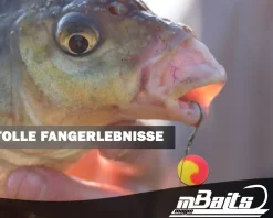 Magic Baits Feeder Boilie Set Method Feeder Boilie Mini Pop Ups Baitsmoke Futtermittel