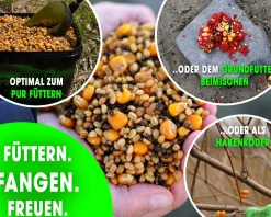 Magic Baits 3kg Ready Particle Mix Scopex im Eimer Carp Seeds Angelfertig Partikel Karpfen Köder Gekochte Körner Karpfenfutter Futtermittel