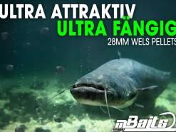 Magic Baits Wels Pellets Giant Pellet Wallerpellets Futtermittel