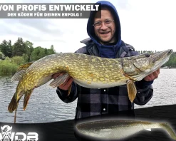 Wild Devil Baits Action Shad Natural Perch Gummifisch Kunstköder Softlure Gummiköder Hecht Barsch Zander Angelköder Raubfischköder Angelköder