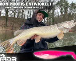 Wild Devil Baits Action Shad Hot Pink Gummifisch Kunstköder Softlure Gummiköder Hecht Barsch Zander Angelköder Raubfischköder Angelköder