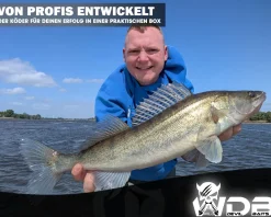Wild Devil Baits Blinkersortiment Zander in Box Pike Perch Blinker Kunstköder Set Löffelblinker Spoon Blinker