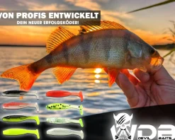 Wild Devil Baits Micro Shad Mix UL Mini Gummifisch Gummiköder Barsch Forelle Angelköder