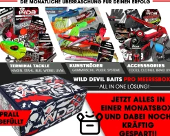 Wild Devil Baits Pro Meeres Monatsbox Angelköder Meeresangeln Promo Lure Box Norwegen Geschenk Meeresangler Angelköder