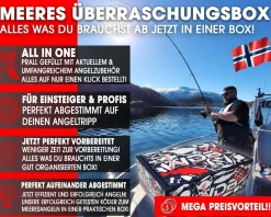 Wild Devil Baits Pro Meeres Monatsbox Angelköder Meeresangeln Promo Lure Box Norwegen Geschenk Meeresangler Angelköder