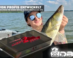 Wild Devil Baits Ready2Fish Tornado Curly Tail mit Box Twister Gummifisch Set mit Jighaken fertig zum Angeln Angelköder