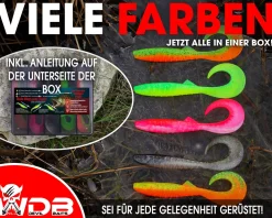 Wild Devil Baits Ready2Fish Tornado Curly Tail mit Box Twister Gummifisch Set mit Jighaken fertig zum Angeln Angelköder