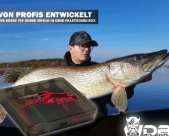 Wild Devil Baits Ready2Fish Tornado Curly Tail mit Box Twister Gummifisch Set mit Jighaken fertig zum Angeln Angelköder