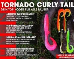 Wild Devil Baits Ready2Fish Tornado Curly Tail mit Box Twister Gummifisch Set mit Jighaken fertig zum Angeln Angelköder