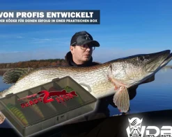 Wild Devil Baits Ready2Fish Wobbler Set Popper in Box Topwater Hardbaits für Hecht Zander Barsch Oberflächenköder mit Kunstköderbox Kunstköder Set Angelköder Angelköder