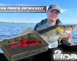 Wild Devil Baits Ready2Fish Smart Shad Zander mit Box Gummifisch Set mit Jighaken Kunstköder Gummiköder Angelköder