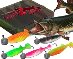 Wild Devil Baits Ready2Fish Shockwave Shad mit Box Gummifisch Set mit Jighaken Kunstköder Gummiköder Angelset Angelköder