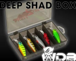 Wild Devil Baits Ready2Fish Wobbler Set Deep Shad in Box Wobbler Hardbaits für Hecht Zander Barsch  Angelköder