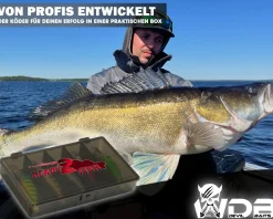 Wild Devil Baits Ready2Fish Wobbler Set Deep Shad in Box Wobbler Hardbaits für Hecht Zander Barsch  Angelköder