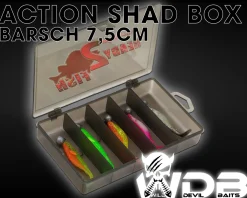 Wild Devil Baits Ready2Fish Action Shad mit Box Gummifisch Set mit Jighaken fertig zum Angeln Angelköder