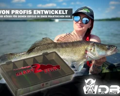 Wild Devil Baits Ready2Fish Action Shad mit Box Gummifisch Set mit Jighaken fertig zum Angeln Angelköder