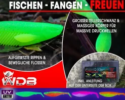 Wild Devil Baits Ready2Fish Action Shad mit Box Gummifisch Set mit Jighaken fertig zum Angeln Angelköder