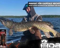 Wild Devil Baits Shallow Rig Spin System Gummifischsystem Hecht Screw Stinger System Big Bait System Zielfische
