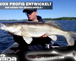Wild Devil Baits Shockwave Shad Baby Zander Gummifisch Kunstköder Softlure Gummiköder Hecht Barsch Zander Angelköder Raubfischköder Angelköder