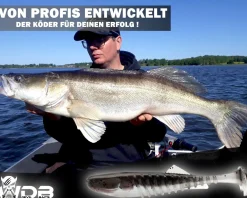 Wild Devil Baits Shockwave Shad Baby Zander Gummifisch Kunstköder Softlure Gummiköder Hecht Barsch Zander Angelköder Raubfischköder Angelköder