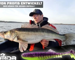 Wild Devil Baits Shockwave Shad Purple Chartreuse Gummifisch Kunstköder Softlure Gummiköder Hecht Barsch Zander Angelköder Raubfischköder Angelköder