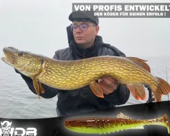 Wild Devil Baits Shockwave Shad UV Green Pumpkin Chartreuse Gummifisch Kunstköder Softlure Gummiköder Hecht Barsch Zander Angelköder Raubfischköder Angelköder