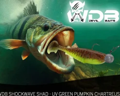Wild Devil Baits Shockwave Shad UV Green Pumpkin Chartreuse Gummifisch Kunstköder Softlure Gummiköder Hecht Barsch Zander Angelköder Raubfischköder Angelköder
