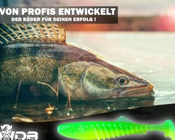 Wild Devil Baits Shockwave Shad Gummifisch Kunstköder Softlure Gummiköder Hecht Barsch Zander Angelköder Raubfischköder Angelköder