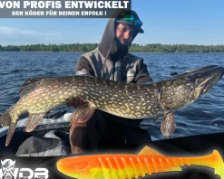 Wild Devil Baits Shockwave Shad Gummifisch Kunstköder Softlure Gummiköder Hecht Barsch Zander Angelköder Raubfischköder Angelköder